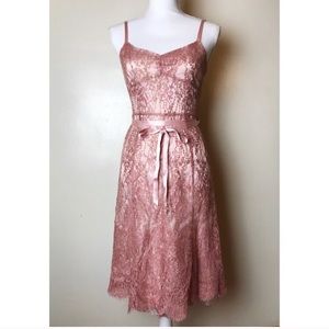 Pink lace Ann Taylor dress. NEW